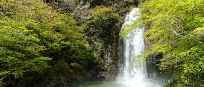 箕面の滝